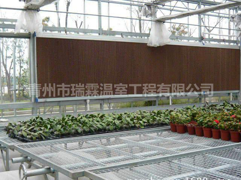 濕簾降溫系統(tǒng)