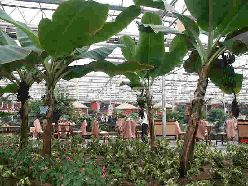 生態(tài)餐廳 (3)