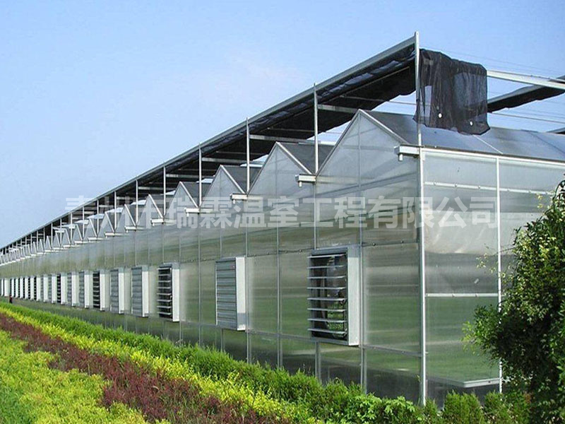 智能溫室大棚 (4)