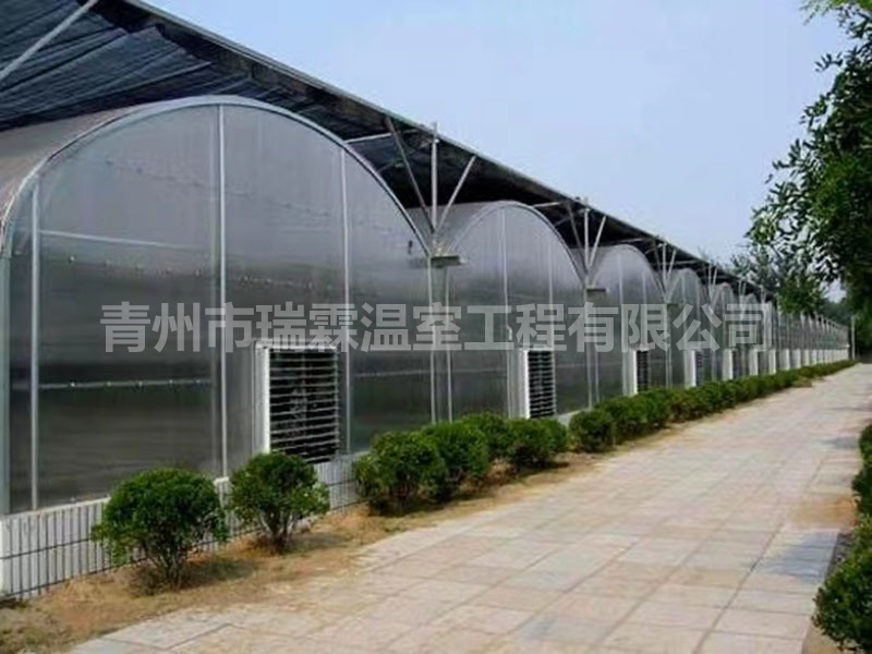 連棟薄膜溫室 (6)