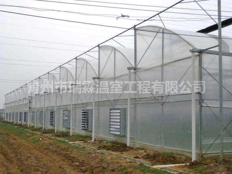 連棟薄膜溫室 (2)