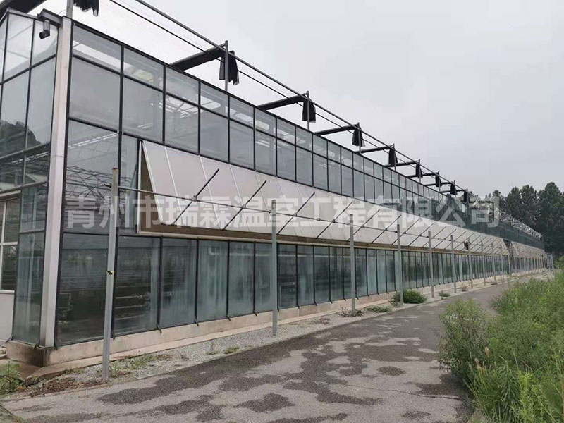 玻璃溫室大棚 (6)