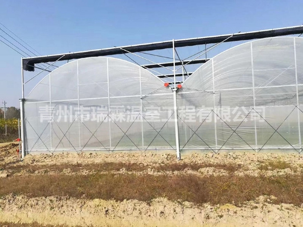 連棟薄膜溫室