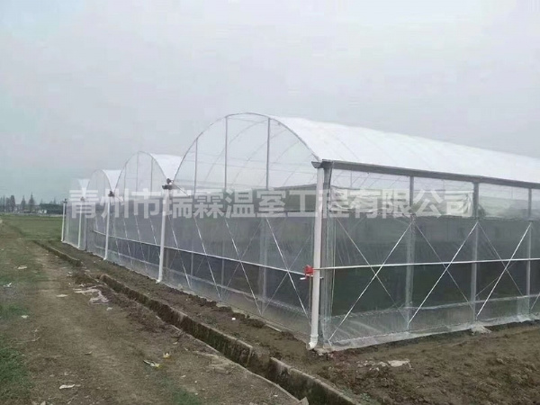 連棟薄膜溫室