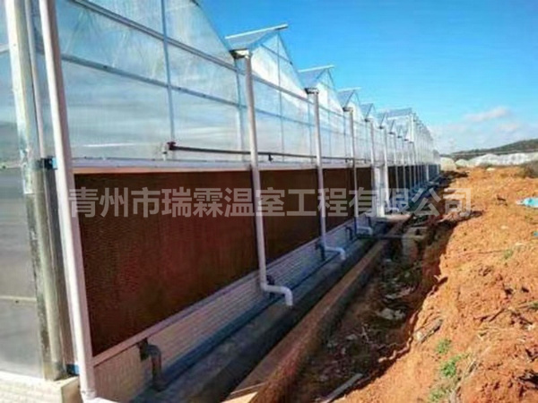 連棟薄膜溫室