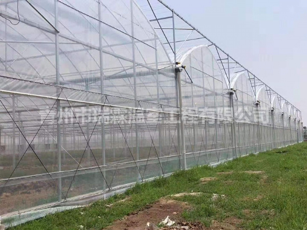 連棟薄膜溫室