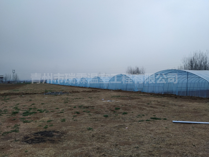 微信圖片_202103181004321