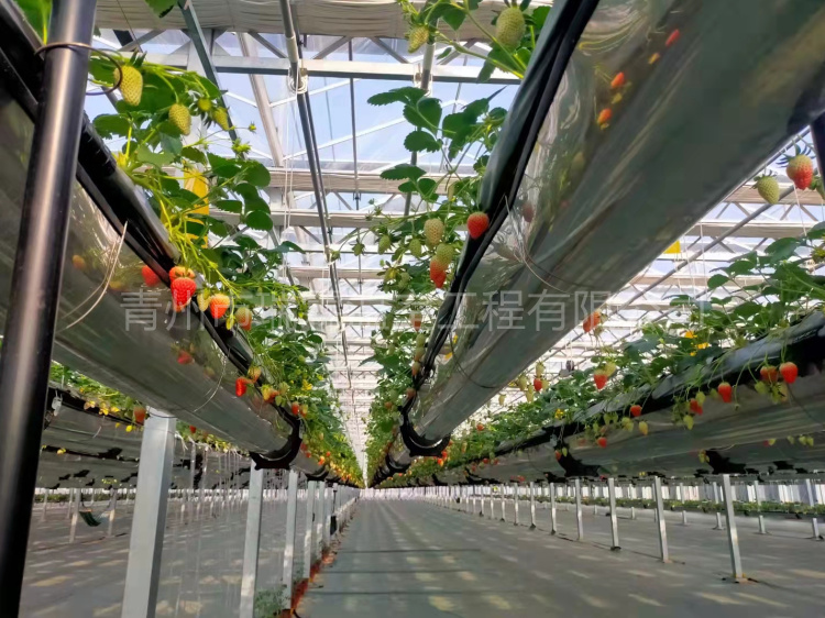 微信圖片_202202071717474(1)